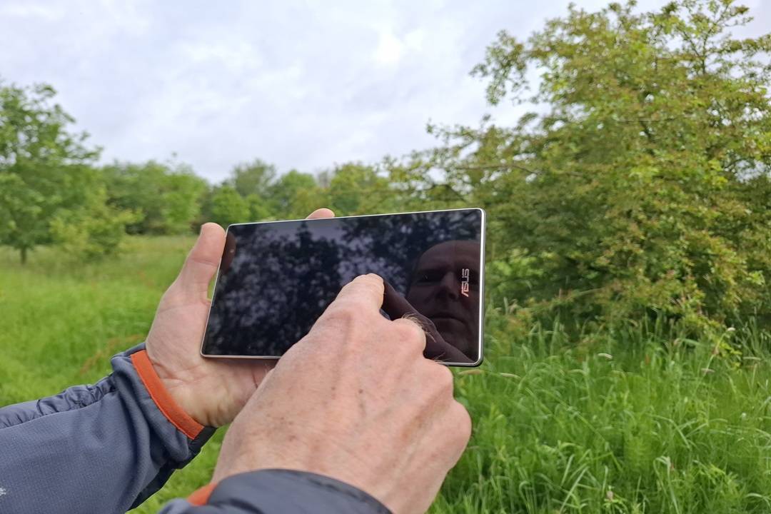 Vrijwilligers gezocht voor inventarisatie landschapselementen in Regio Foodvalley